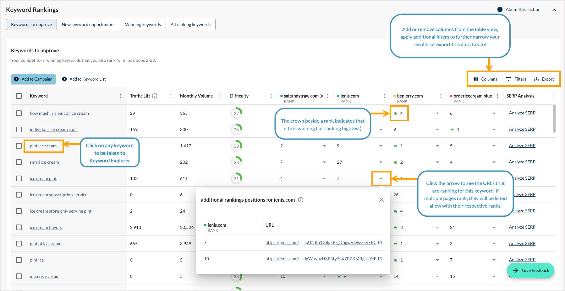 Screenshot of the ranking keywords table highlighting additional features that are noted above.